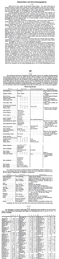 Mondoberfläche