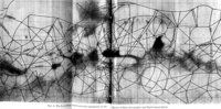 The Lowellian canal network superposed on the Mariner 9 Mars cartography and Earth-based albedo.