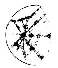 Map 4118