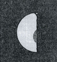 Schröter's Drawing of Venus (1791)
