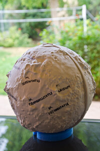 Tactile Globe of the Moon