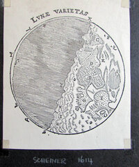 Lunae Varietas