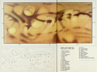 Doherty's map of Mars