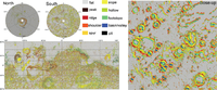 Global geomorphometric map of Mars