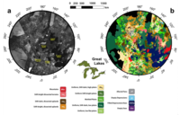 Geomorphologic map of Titan's North and South Polar regions