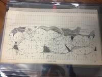 Mars 1905 Lowell Observatory