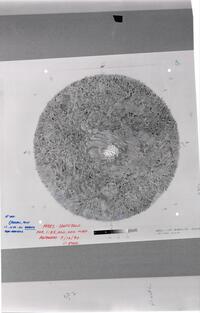 Mars South pole airbrush base
