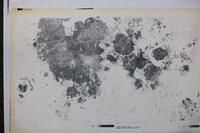 Lunar Frontside albedo