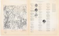 Lunar Terrain Atlas - Sheet III