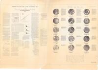 Terrain Atlas of the Lunar Equatorial Belt