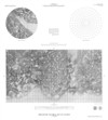 Preliminary Pictorial Map of Callisto