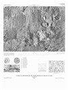Controlled Photomosaic of the Tharsis Northeast Quadrangle of Mars