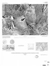 Controlled Photomosaic of the Elysium Southeast Quadrangle of Mars