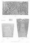 High Resolution Controlled Photomosaics of Io: Ra Patera