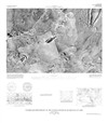 Controlled Photomosaic of the Elysium Southeast Quadrangle of Mars