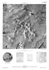 MTM 10077 Controlled Photomosaic of Part of the Kasei Valles Region of Mars