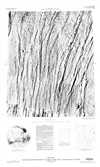 MTM 35107 Controlled Photomosaic of Part of the Alba Patera Region of Mars