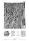 MTM 35112 Controlled Photomosaic of Part of the Alba Patera Region of Mars