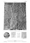 MTM 35117 Controlled Photomosaic of Part of the Alba Patera Region of Mars