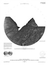 Controlled Photomosaics of the Sidon Flexus Region of Europa