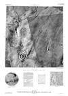 MTM 20077 Controlled Photomosaic of Part of the Kasei Valles Region of Mars