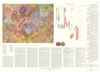 Geologic Map of the Western Equatorial Region of Mars (Reprinted 1998)