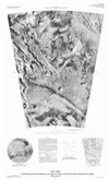 MTM -80050 Controlled Photomosaic of Part of the Planum Australe Region of Mars