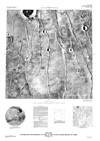 MTM 15067 Controlled Photomosaic of Part of the Lunae Planum Region of Mars