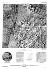 MTM 10062 Controlled Photomosaic of Part of the Lunae Planum Region of Mars