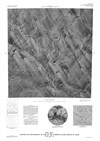 MTM -20247 Controlled Photomosaic of Part of the Tyrrhena Patera Region of Mars