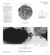 Controlled Photomosaic of Iapetus