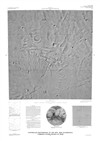 Controlled Photomosaic of the MTM -20252 Quadrangle, Tyrrhena Patera Region of Mars