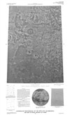 Controlled Photomosaic of the MTM 45172 Quadrangle, Arcadia Planitia Region of Mars