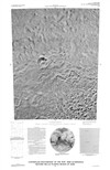 Controlled Photomosaic of the MTM -40302 Quadrangle, Western Hellas Planitia Region of Mars