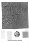 Controlled Photomosaic of the MTM -10117 Quadrangle (Revised), Arsia Mons Region of Mars