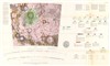 Geologic Map of the Pitatus Region of the Moon