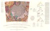 Geologic Map of the Mare Humorum Region of the Moon