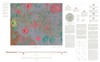 Geologic Map of the Alphonsus GA Region of the Moon