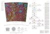 Geologic Map of the Maurolycus Quadrangle of the Moon