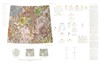 Geologic Map of the Macrobius Quadrangle of the Moon