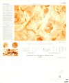 Topographic Map of the Tharsis Quadrangle of Mars