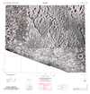 Lunar Topographic Orthophotomap - Yangel