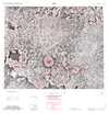 Lunar Topographic Orthophotomap - Lyell