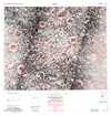 Lunar Topographic Orthophotomap - Wildt