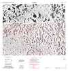 Lunar Topographic Orthophotomap - Glauber