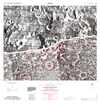 Lunar Topographic Orthophotomap - Leakey