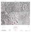 Lunar Topographic Orthophotomap - Capella