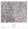 Lunar Topographic Orthophotomap - Kiess