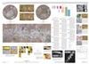 Geologic Map of Io
